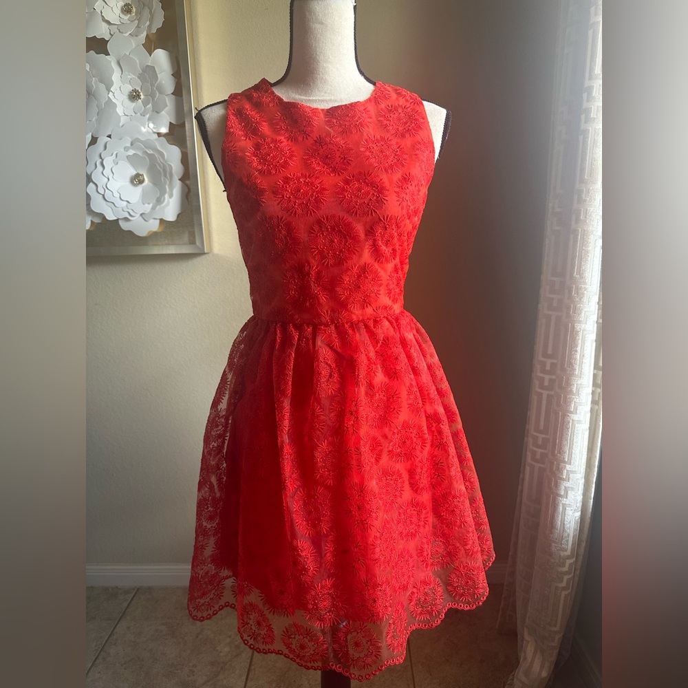 Zara Red Lace Fantasy  Skater Dress ❤️ size small